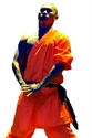 Bild von Kampfanzug - Orange