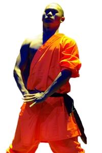 Bild von Kampfanzug - Orange