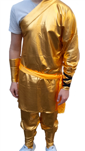Bild von Der Anzug des goldenen Reiters